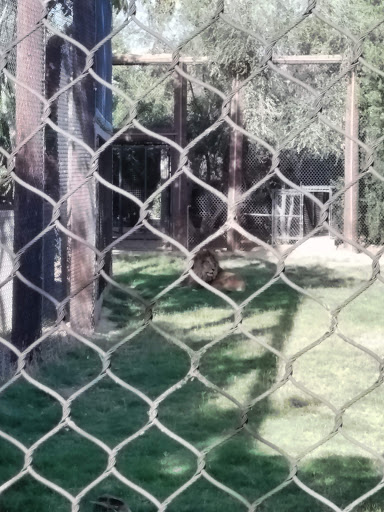 Golf Course «Falcon Dunes Golf Course», reviews and photos, 15100 Northern Ave, Waddell, AZ 85355, USA