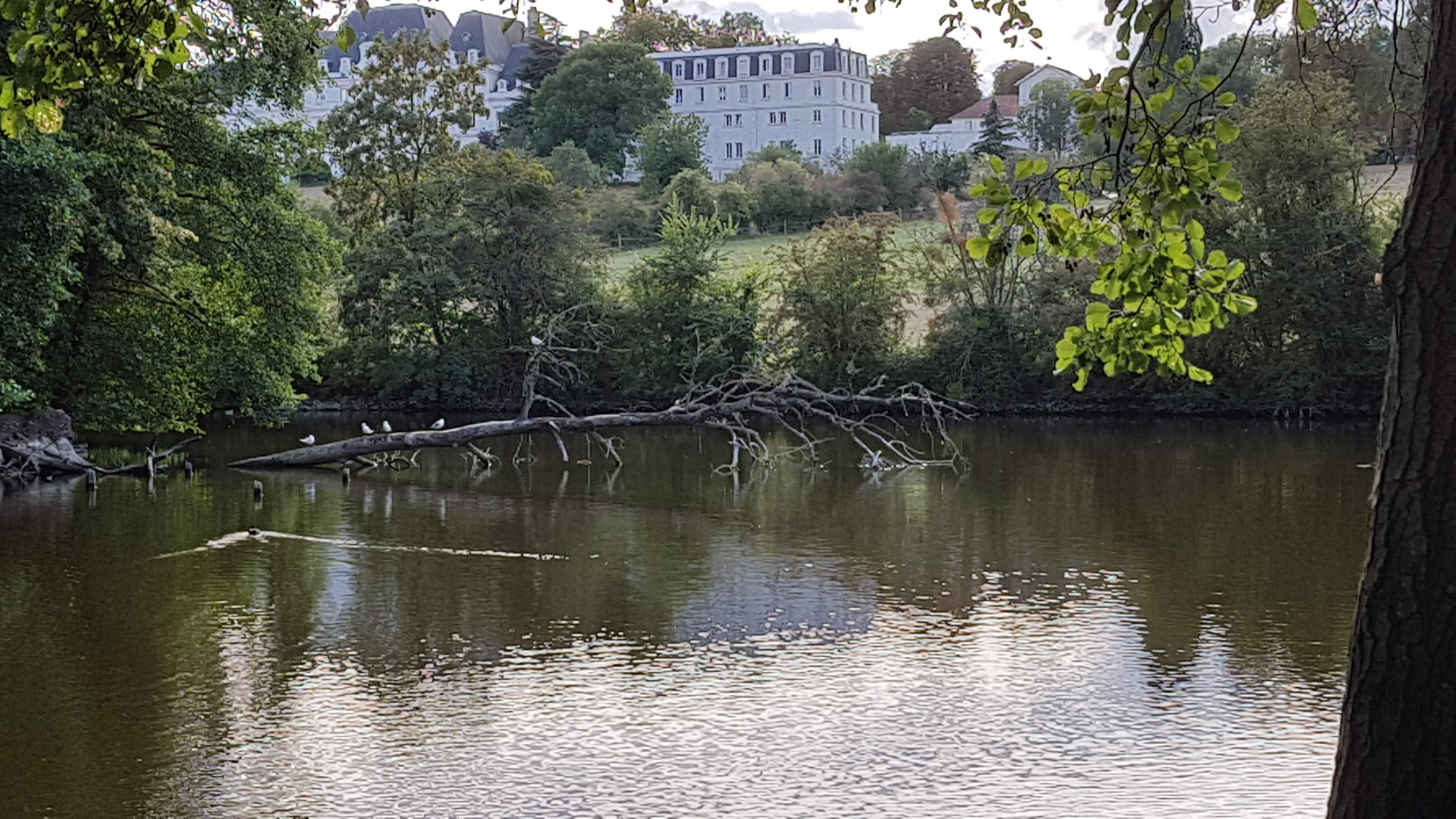 Photo n° 1 de l'avis de Jacques.e fait le 03/09/2018 à 09:34