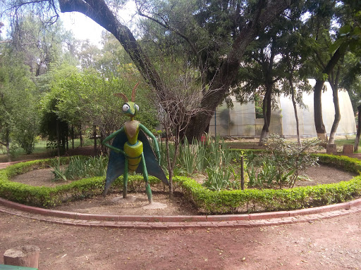 Parque Escuela