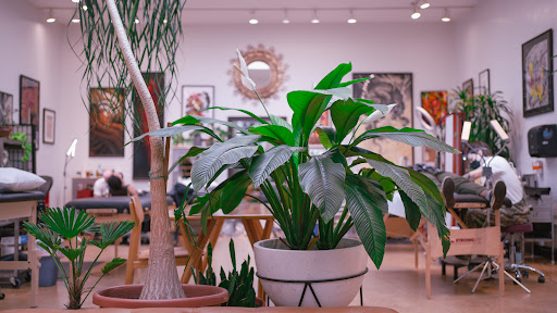 Tattoo Shop «Seventh Son Tattoo», reviews and photos, 765 Clementina St, San Francisco, CA 94103, USA