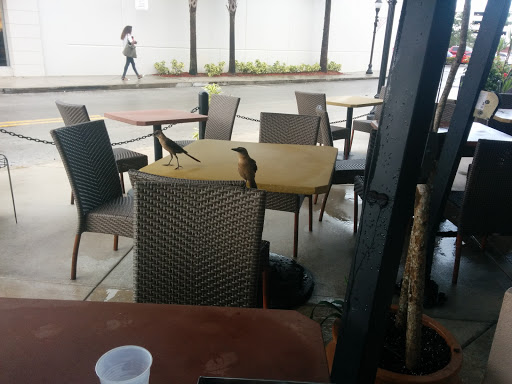 Shopping Mall «Shops At Pembroke Gardens», reviews and photos, 527 SW 145th Terrace, Pembroke Pines, FL 33027, USA