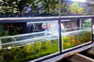 Yono Aquarium image