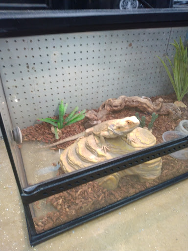 Pet Store «Oasis Tropicals», reviews and photos, 507 Commerce St, Pleasanton, TX 78064, USA