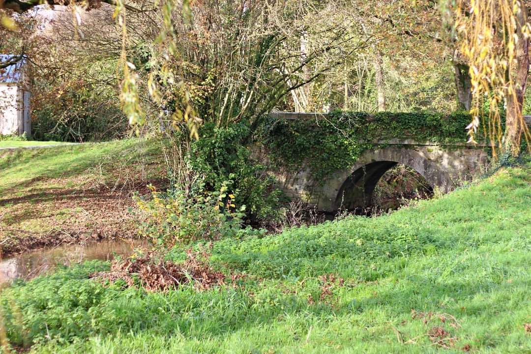 Photo n° 28 de l'avis de Mathias.e fait le 09/09/2023 à 17:27