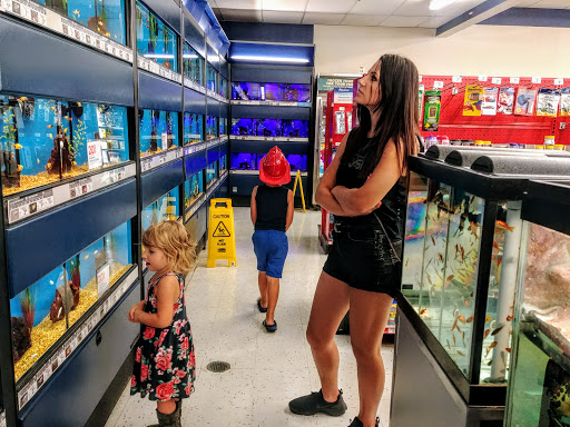 Shopping Mall «Colonial Plaza Mall», reviews and photos, 601 N Bumby Ave, Orlando, FL 32803, USA