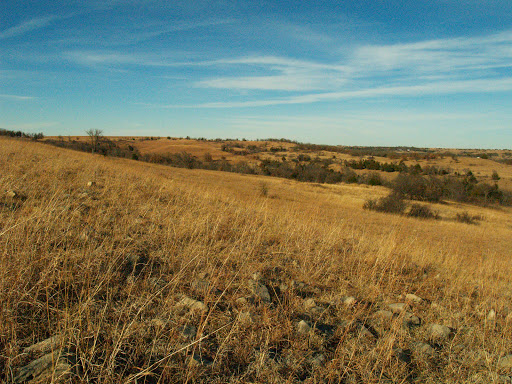 Historical Landmark «Little House on the Prairie Museum», reviews and photos, 2507 3000 Rd, Independence, KS 67301, USA