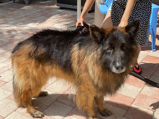 Public Golf Course «Bonaventure Golf Club», reviews and photos, 200 Bonaventure Blvd, Weston, FL 33326, USA