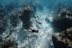 酷落潛水 Kuroshio Diving image