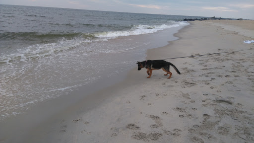 Recreation Center «Sandy Hook - Gateway National Recreation Area», reviews and photos, 128 S Hartshorne Dr, Highlands, NJ 07732, USA