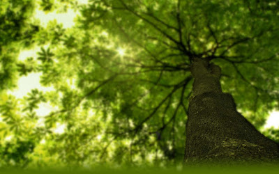 Groupe TREE à Lézinnes