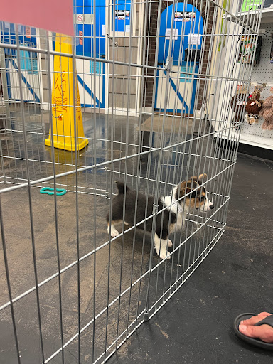 Pet Store «The Pet Zone», reviews and photos, 2001 South Rd, Poughkeepsie, NY 12601, USA