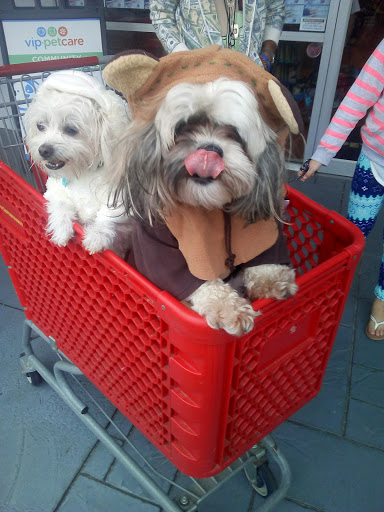 Pet Supply Store «Pet Supermarket», reviews and photos, 6307 N 9th Ave #1, Pensacola, FL 32504, USA