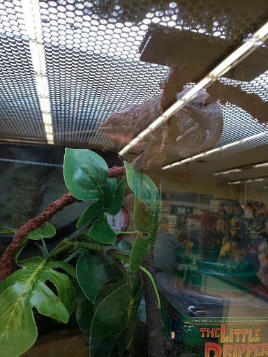 Pet Supply Store «Petco Animal Supplies», reviews and photos, 5239 Harvey St, Norton Shores, MI 49444, USA