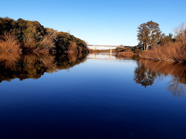 Opiniones de Puente Picada de Varela en Sarandí Grande - Camping