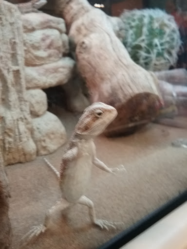 Pet Supply Store «PetSmart», reviews and photos, 11134 Parkside Dr, Knoxville, TN 37934, USA