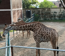 Bangladesh National Zoo photo