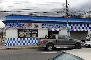 Delfín Azul image