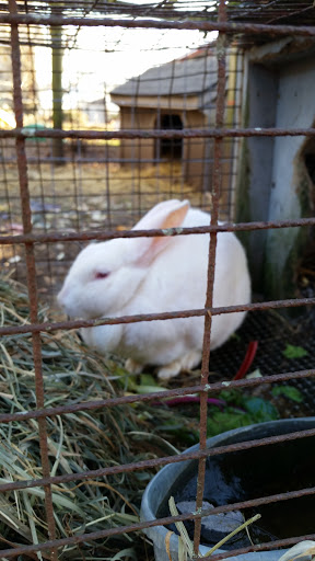 Produce Market «Highland Orchards Farm Market», reviews and photos, 1431 Foulk Rd, Wilmington, DE 19803, USA