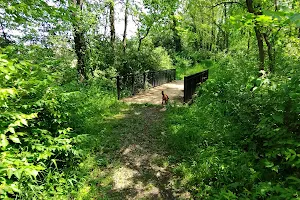 Sara Lee Arnovitz Nature Preserve Trailhead image