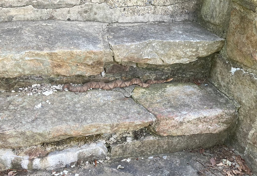 Nature Preserve «Eidolon Nature Preserve», reviews and photos, 2146 Orleans Rd, Great Cacapon, WV 25422, USA