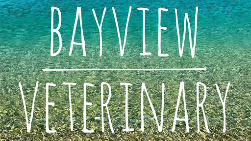 2333 St Andrews Blvd, Panama City, FL 32405, USA