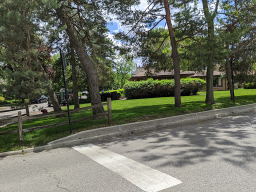 Old Treaty Elm, 5750 N Rogers Ave, Chicago, IL 60646