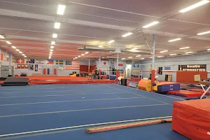 Realis Gymnastics Academy image