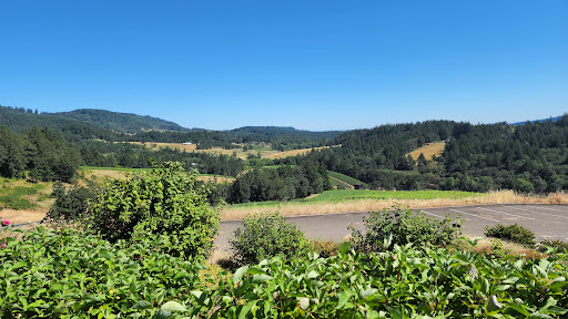 Winery «Colene Clemens Vineyards», reviews and photos, 22501 NE Dopp Rd, Newberg, OR 97132, USA