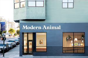 Modern Animal