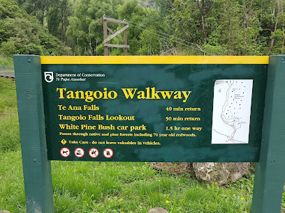 Tangoio Falls Scenic Reserve tracks