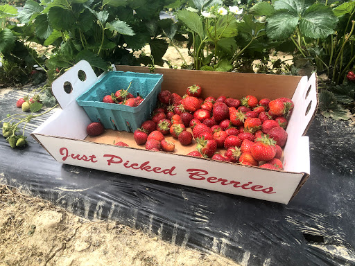 Produce Market «Miller Farms», reviews and photos, 10140 Piscataway Rd, Clinton, MD 20735, USA