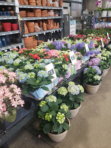 Home Improvement Store «The Home Depot», reviews and photos, 2250 Easton Rd, Willow Grove, PA 19090, USA