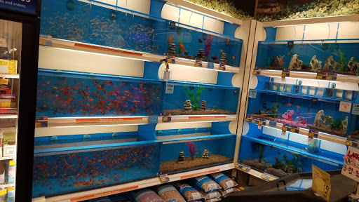 Pet Supply Store «PetSmart», reviews and photos, 412 Constant Friendship Blvd, Abingdon, MD 21009, USA