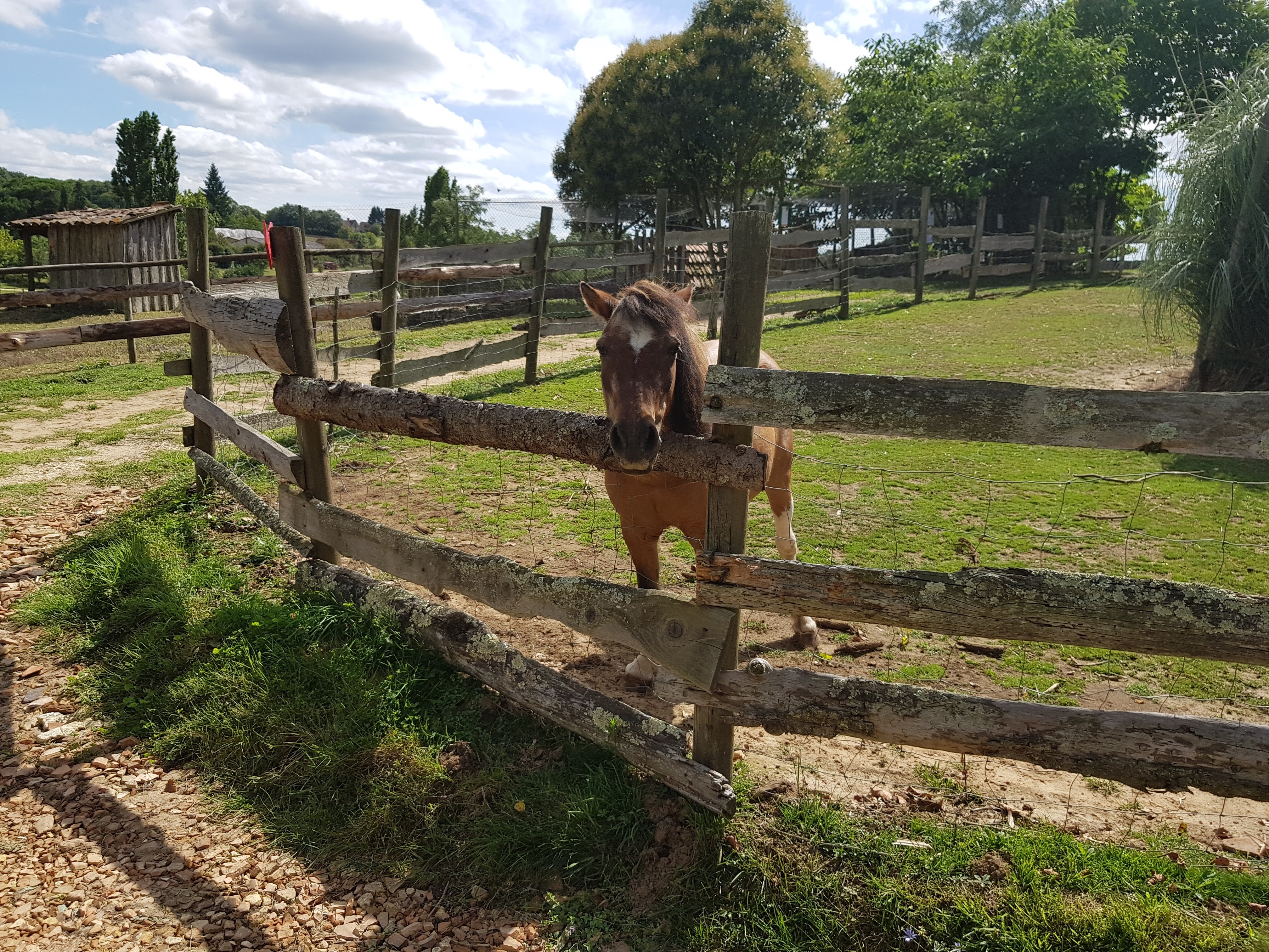 Photo n° 9 de l'avis de Gribs. fait le 13/08/2017 à 17:24