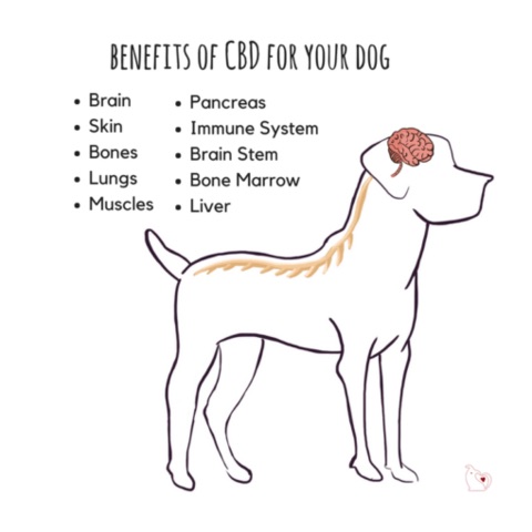 Health Food Store «Wild Oats Health Food Store», reviews and photos, 12 West St, Beverly, MA 01915, USA