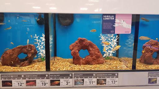 Pet Supply Store «Petco Animal Supplies», reviews and photos, 2617 196th St SW #141, Lynnwood, WA 98036, USA