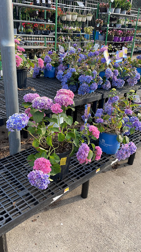 Department Store «Walmart Supercenter», reviews and photos, 280 Washington St, Hudson, MA 01749, USA