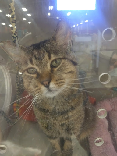 Pet Supply Store «Petco Animal Supplies», reviews and photos, 3110 S Louise Ave, Sioux Falls, SD 57106, USA