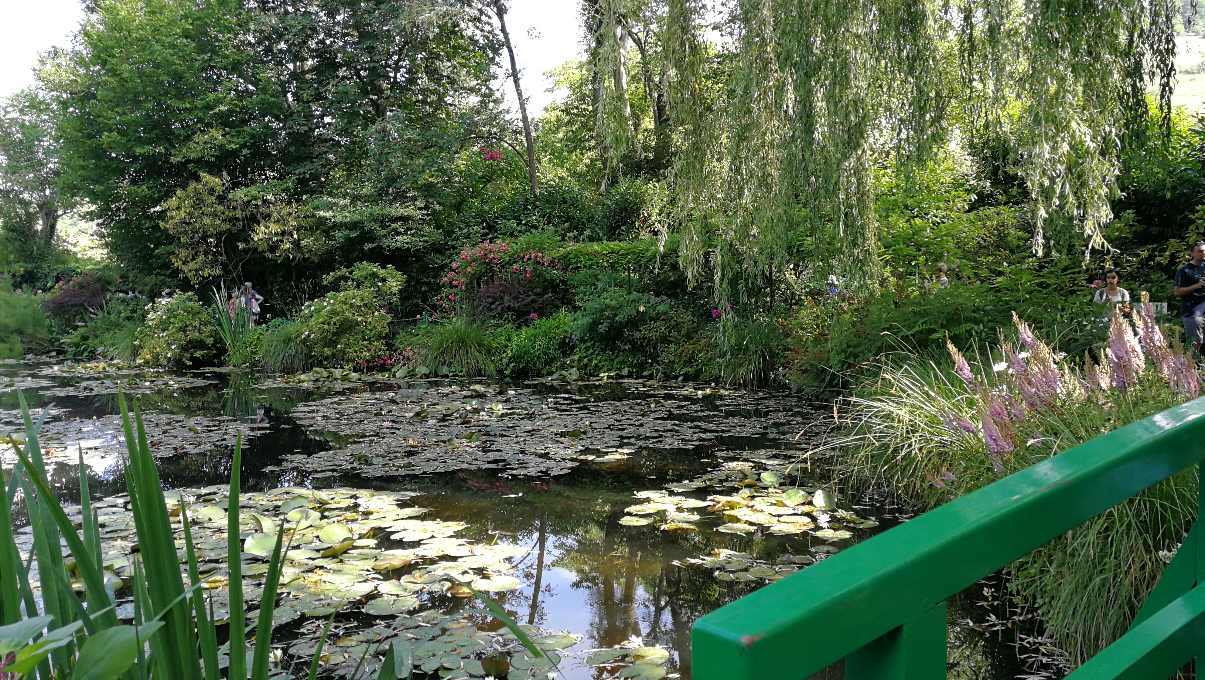 Photo n° 15 de l'avis de barbe.e fait le 10/07/2018 à 17:25