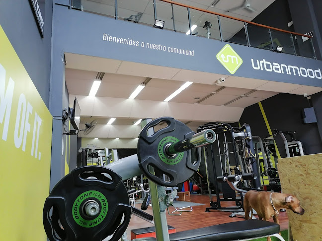 Opiniones de Urban mood gym en Maldonado - Gimnasio