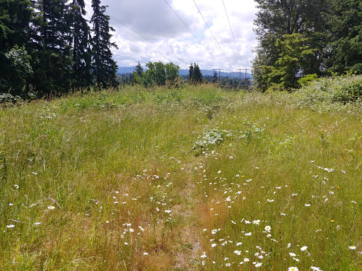 Park «Viewpoint Park», reviews and photos, 134th & NE 24th Street, Bellevue, WA 98005, USA