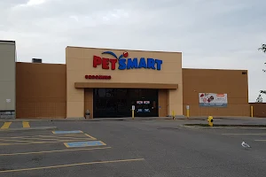 PetSmart image