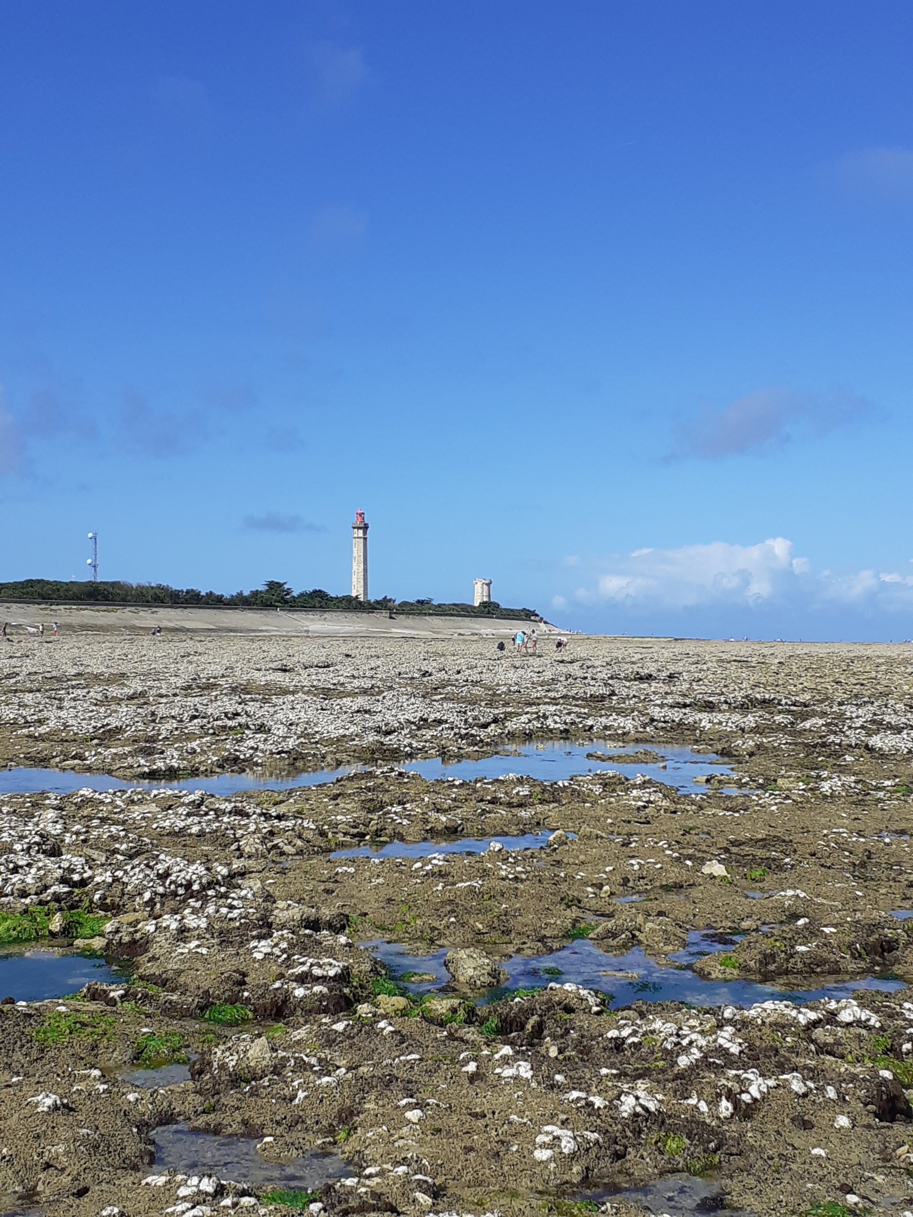 Photo n° 5 de l'avis de Pierre.e fait le 20/08/2020 à 14:21