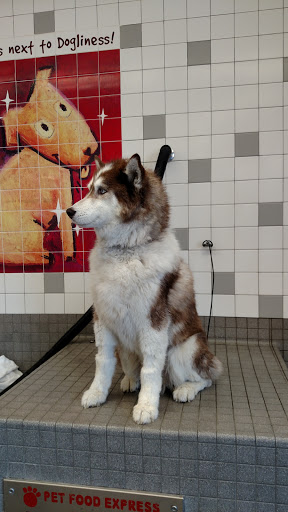 Pet Supply Store «Pet Food Express», reviews and photos, 5148 Stevens Creek Blvd, San Jose, CA 95129, USA