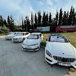 DADAŞ/MC MOTORS(OTO KİRALAMA)
