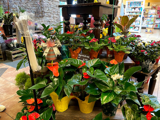 Grocery Store «Nob Hill Foods», reviews and photos, 130 Market Pl, San Ramon, CA 94583, USA