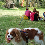 Photo n°2 de l'avis de Adriana.o fait le 23/09/2021 à 18:22 sur le  Ristoro Il Cantuccio à Elcito