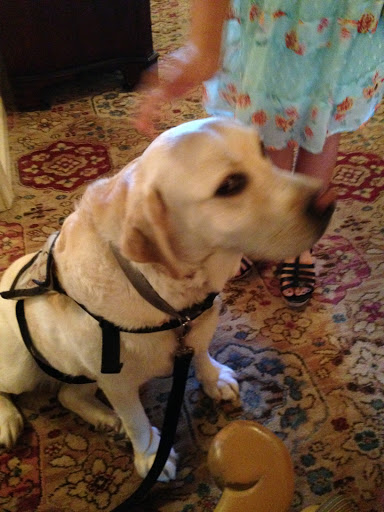 Funeral Home «G H Herrmann Funeral Homes», reviews and photos, 5141 Madison Ave, Indianapolis, IN 46227, USA