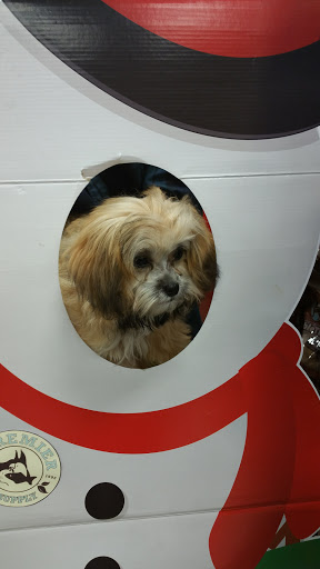 Pet Supply Store «Premier Pet Supply», reviews and photos, 15399 Merriman Rd, Livonia, MI 48154, USA