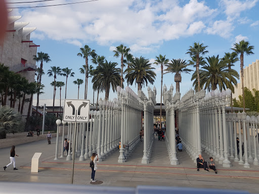 Art Museum «Los Angeles County Museum of Art», reviews and photos, 5905 Wilshire Blvd, Los Angeles, CA 90036, USA
